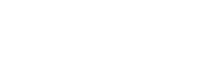Logo Footer
